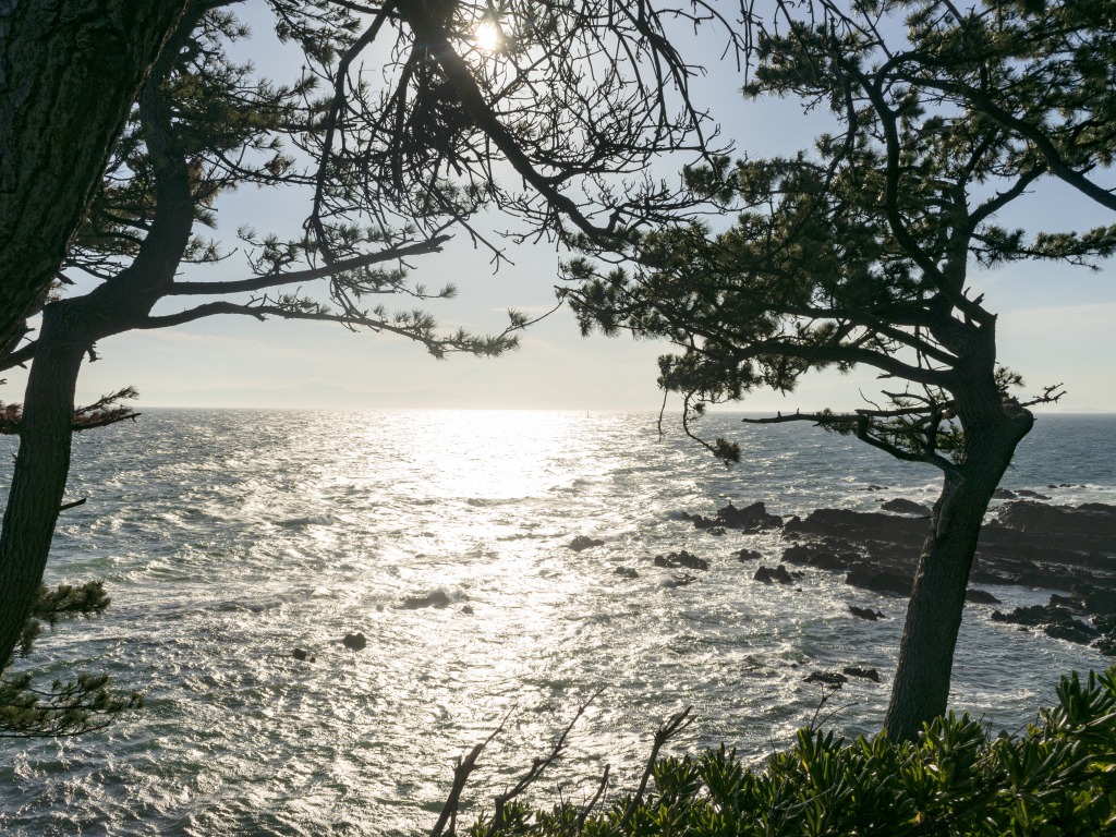 ほとんどが無症状・軽症、重症化しないから良いわけではない。