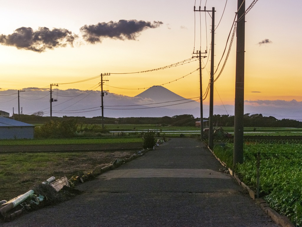 心身ともに疲労が蓄積しているな…