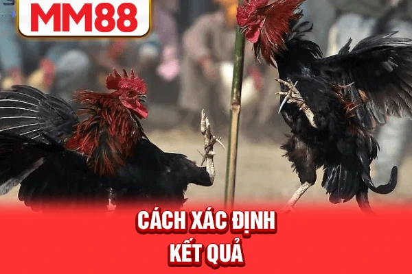 Cách xác định kết quả Cách xác định kết quả