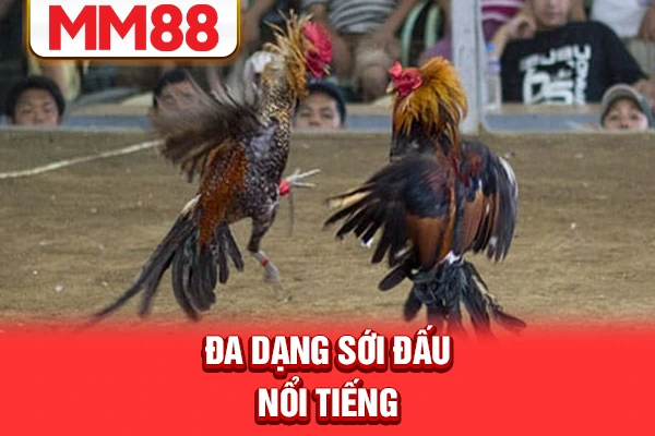 Đa dạng sới đấu nổi tiếng Đa dạng sới đấu nổi tiếng