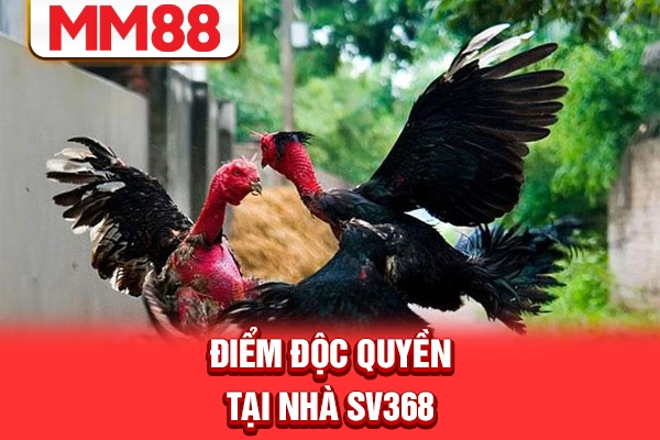 Điểm độc quyền tại nhà SV368 Điểm độc quyền tại nhà SV368