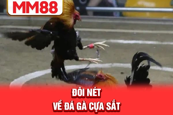 Đôi nét về đá gà cựa sắt Đôi nét về đá gà cựa sắt