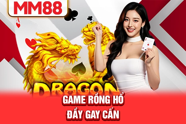 Game rồng hổ đầy gay cấn Game rồng hổ đầy gay cấn