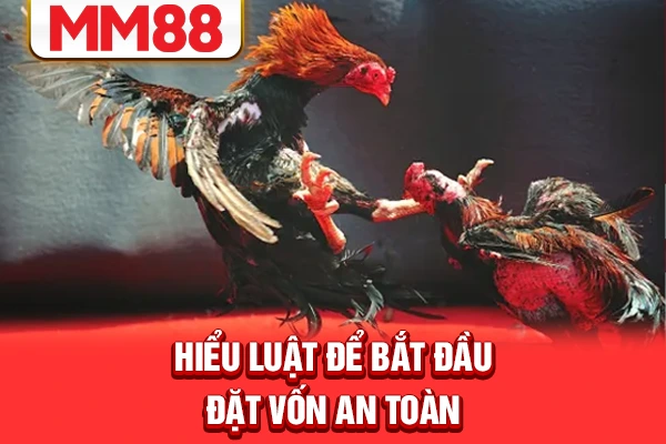 Hiểu luật để bắt đầu đặt vốn an toàn Hiểu luật để bắt đầu đặt vốn an toàn