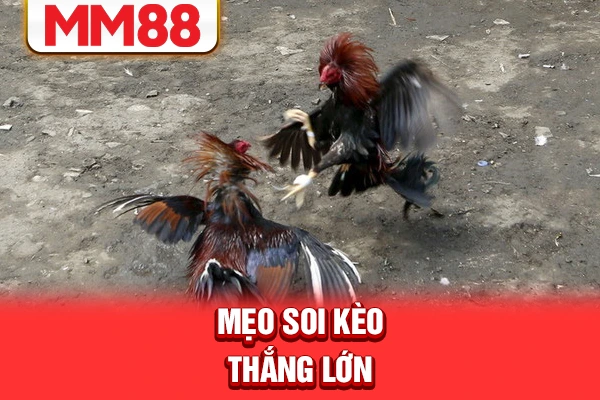 Mẹo soi kèo thắng lớn Mẹo soi kèo thắng lớn
