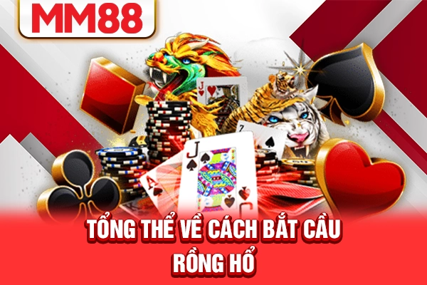 Tổng thể về cách bắt cầu Rồng Hổ Tổng thể về cách bắt cầu Rồng Hổ