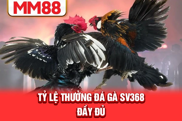 Tỷ lệ thưởng đá gà SV368 đầy đủ Tỷ lệ thưởng đá gà SV368 đầy đủ