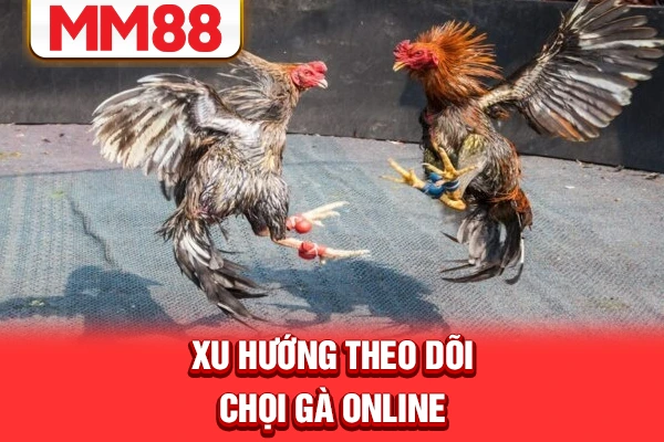 Xu hướng theo dõi chọi gà online Xu hướng theo dõi chọi gà online